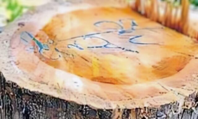 Screenshot_20250928-115144.Google-1-780x470