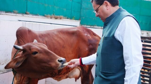 cm-dhamiiiiii77-800x445