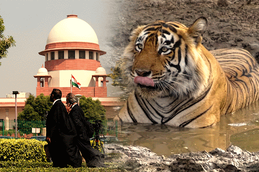 1763379787_unnamed-2025-11-17t171246-829