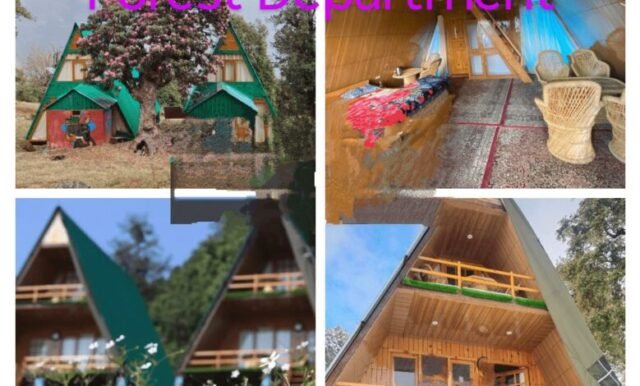 Eco-Cottages-ec-o-park-munsyari-1-1-780x470