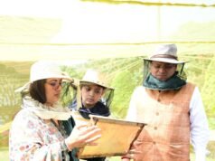 CM आवास में 60 किलो शहद निकासी, 3-बी गार्डन विकसित करने के निर्देश