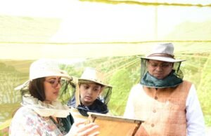 CM आवास में 60 किलो शहद निकासी, 3-बी गार्डन विकसित करने के निर्देश