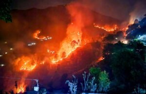 वनाग्नि रोकने की पहल तेज, सरकार ने ग्रामीणों से खरीदा 5532 टन पिरूल; लक्ष्य बढ़ाकर 8555 टन किया