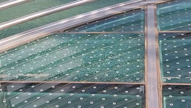 26438493_glassbridge