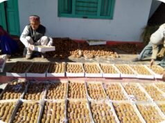 रिवर्स माइग्रेशन और आधुनिक कृषि से बदल रही उत्तराखंड के सुदूर जनपद बागेश्वर की तस्वीर