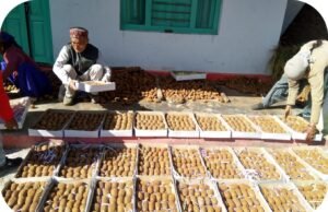 रिवर्स माइग्रेशन और आधुनिक कृषि से बदल रही उत्तराखंड के सुदूर जनपद बागेश्वर की तस्वीर