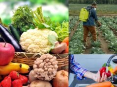 फल सब्जियों में कीटनाशकों के अंधाधुंध इस्तेमाल पर सरकार सख्त