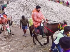 चारधाम यात्रा 2026: बिना फिटनेस और रजिस्ट्रेशन नहीं चलेंगे घोड़े-खच्चर, सरकार ने कसी कमर