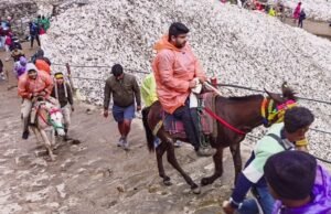 चारधाम यात्रा 2026: बिना फिटनेस और रजिस्ट्रेशन नहीं चलेंगे घोड़े-खच्चर, सरकार ने कसी कमर