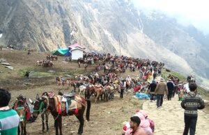 चारधाम और आदि कैलाश यात्रा हेतु अश्ववंशीय पशुओं के लिए नई गाइडलाइन जारी