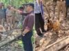 हरिद्वार में दो बाघों की मौत का खुलासा, 3 आरोपी गिरफ्तार