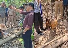 हरिद्वार में दो बाघों की मौत का खुलासा, 3 आरोपी गिरफ्तार