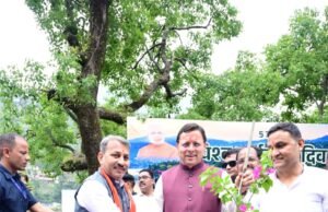 बोगनबेलिया के पौधों से महकेगी भीमताल झील, मुख्यमंत्री पुष्कर सिंह धामी ने की शुरुआत