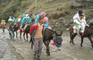 केदारनाथ यात्रा में लापरवाही बर्दाश्त नहीं, बिना पंजीकरण घोड़ा-खच्चर संचालन पर होगी सख्त कार्रवाई