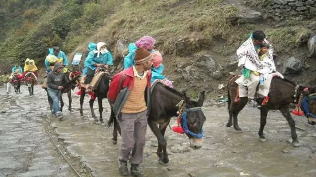 28_03_2024-kedarnath_trekking_23684690