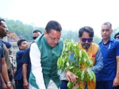 हरेला पर्व पर मुख्यमंत्री धामी ने दी प्रदेशवासियों को शुभकामनाएं, बोले– लोक पर्व हमारी सांस्कृतिक पहचान