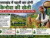 उत्तराखंड में पहली बार होगी किनोवा की खेती, किसानों की आय बढ़ाने के लिए 100 एकड़ में शुरू होगा पायलट प्रोजेक्ट