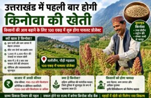 उत्तराखंड में पहली बार होगी किनोवा की खेती, किसानों की आय बढ़ाने के लिए 100 एकड़ में शुरू होगा पायलट प्रोजेक्ट