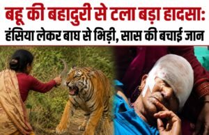 बहू की बहादुरी से टला बड़ा हादसा: हंसिया लेकर बाघ से भिड़ी, सास की बचाई जान