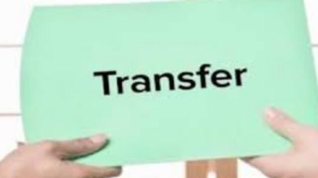 transfer_c79ad08a42bcb1b909750154e847de08_11zon