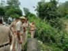 मंगलौर में गंगनहर किनारे महिला का गला कटा शव मिलने से सनसनी