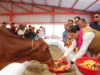 प्रदेश में 16 हजार से अधिक निराश्रित गोवंश को गौ सदनों के माध्यम से दिया जा रहा सुरक्षित आश्रय – मुख्यमंत्री