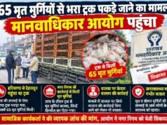 65 मृत मुर्गियों से भरा ट्रक पकड़े जाने का मामला मानवाधिकार आयोग पहुंचा