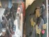 मसूरी के रेस्टोरेंट में घुसकर युवकों पर लाठी-डंडों से हमला, CCTV फुटेज वायरल