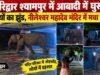 हरिद्वार श्यामपुर में आबादी में घुसा हाथियों का झुंड, नीलेश्वर महादेव मंदिर में मचा हड़कंप