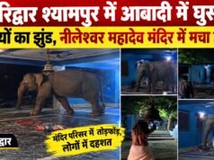 हरिद्वार श्यामपुर में आबादी में घुसा हाथियों का झुंड, नीलेश्वर महादेव मंदिर में मचा हड़कंप