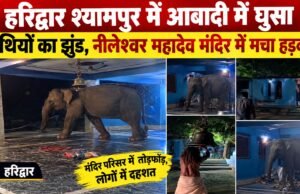 हरिद्वार श्यामपुर में आबादी में घुसा हाथियों का झुंड, नीलेश्वर महादेव मंदिर में मचा हड़कंप