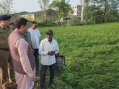 बाजपुर में भीषण ओलावृष्टि से फसलों को नुकसान, सूचना मिलते ही किसानों के बीच पहुंचे सीएम धामी